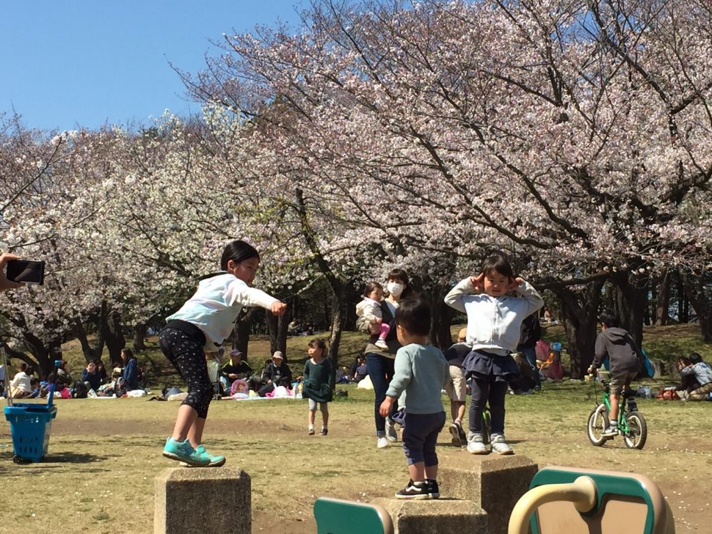 桜満開の講演で