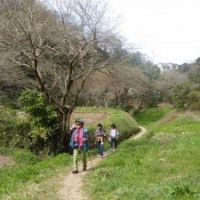 湘南、藤沢、鎌倉のノルディックウォーキング教室写真