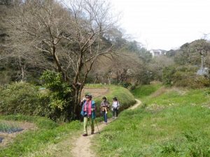 湘南、藤沢、鎌倉のノルディックウォーキング教室写真