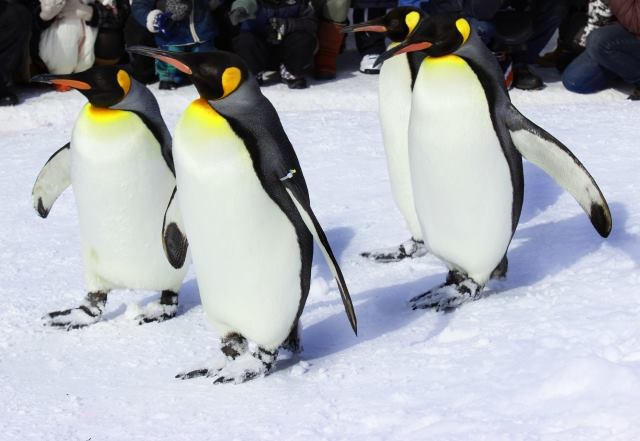 藤沢鎌倉のマッサージ、整体といえば