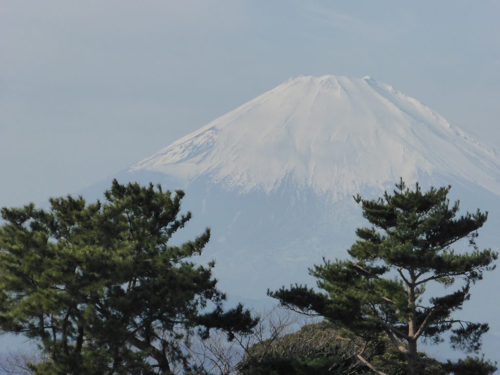 藤沢のヨガ、マッサージのバランスファクトリー