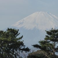 藤沢のヨガ、マッサージのバランスファクトリー