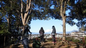 背中と二の腕の引き締めに！