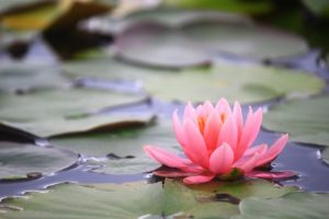 瞑想を続けてみて。。。