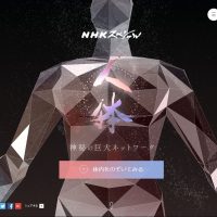 人体　神秘の巨大ネットワーク