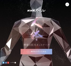 神秘の巨大ネットワーク