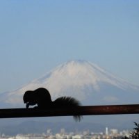 富士山とリス1