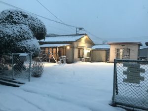 やけどにも注意！低温注意報発令