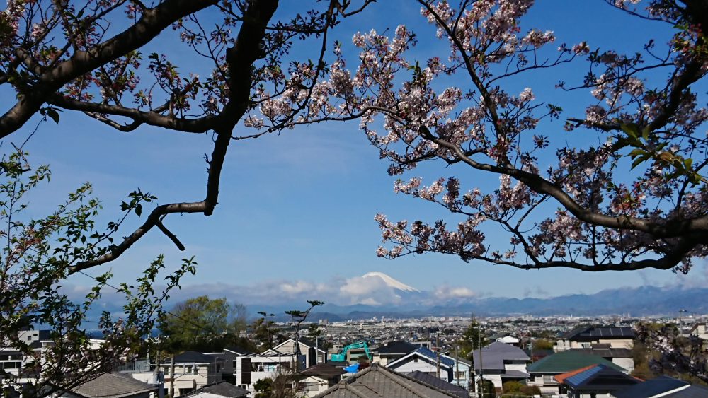 平成最後の寒波3