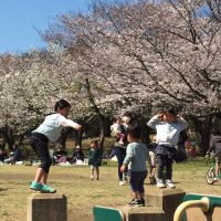 桜満開の講演で