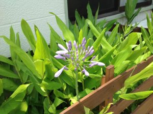 あと１年・・・