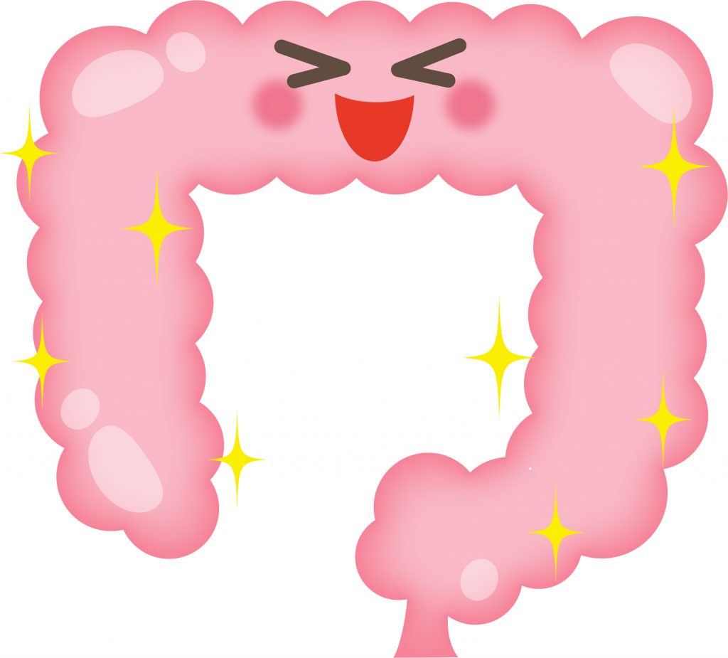 腸活