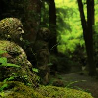 瞑想’（マインドフルネス）