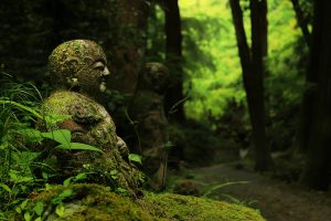 石の上にも。。。瞑想（マインドフルネス）