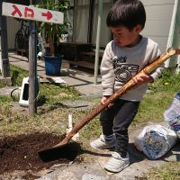 営業自粛初日チューリップ