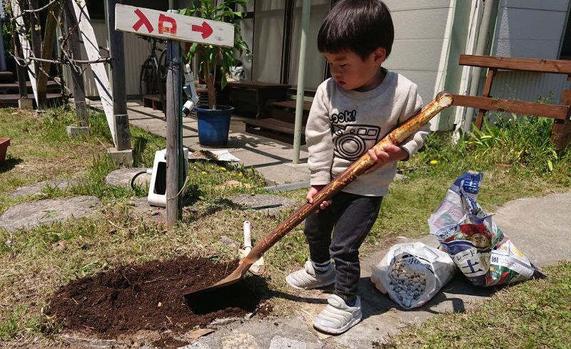 営業自粛初日チューリップ
