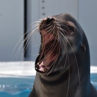 コロナ禍でできること