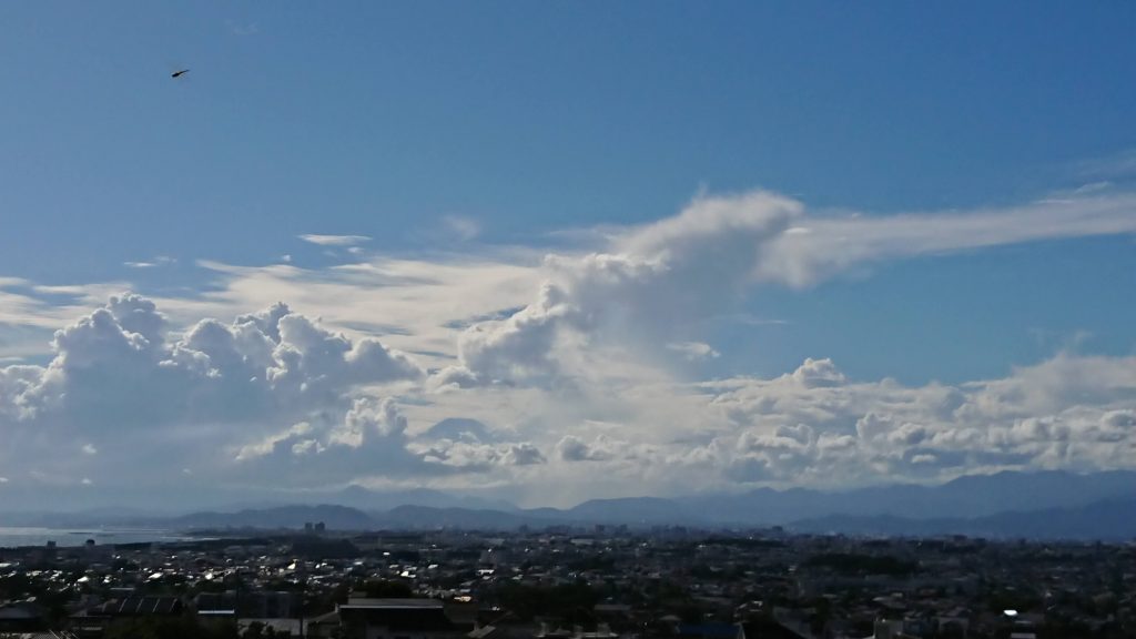選択と覚悟