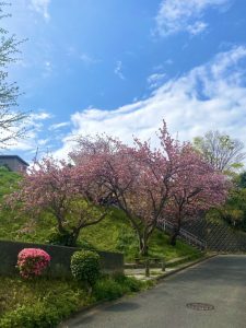 加圧トレーニング＆よくばり症例：40代女性の場合