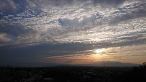 インスタグラム始めました