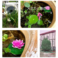 スマホ教室参加者の皆さんの写真