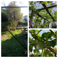 スマホ教室画像