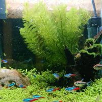 小さな地球（バランス）