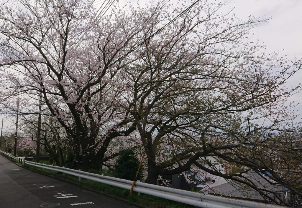 もうすぐダイアモンド富士