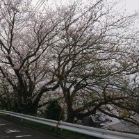 もうすぐダイアモンド富士