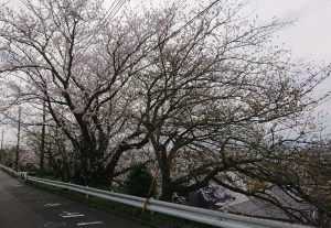 ダイアモンド富士：今年の天気は？