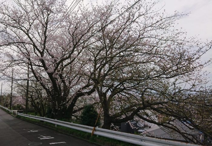 もうすぐダイアモンド富士