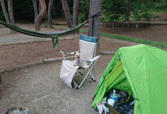 夏休み愛犬とキャンプ１